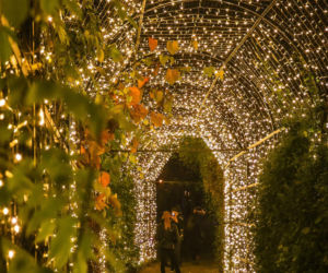 Świąteczne iluminacje w Warszawie