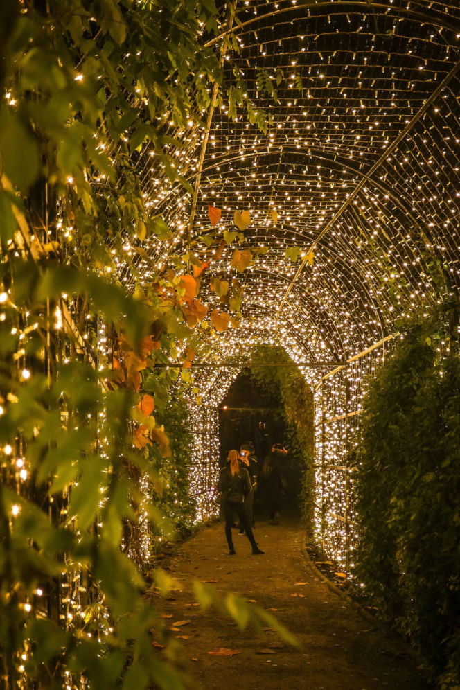 Świąteczne iluminacje w Warszawie