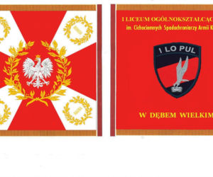 Uroczystość w Dębem Wielkim. Dwulecie sztandaru Cichociemnych pod patronatem MON