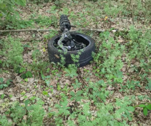 Tragiczny wypadek na Mazowszu. 21-latka zginęła po dachowaniu auta!