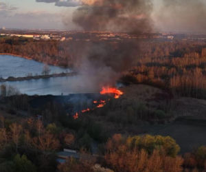 Strażacy gasili pożar na Żabich Dołach. Płonął cenny teren przyrodniczy
