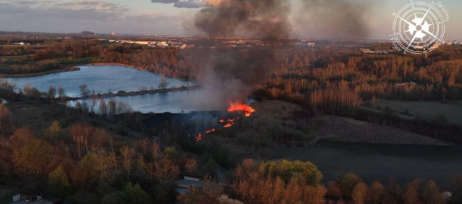 Strażacy gasili pożar na Żabich Dołach. Płonął cenny teren przyrodniczy