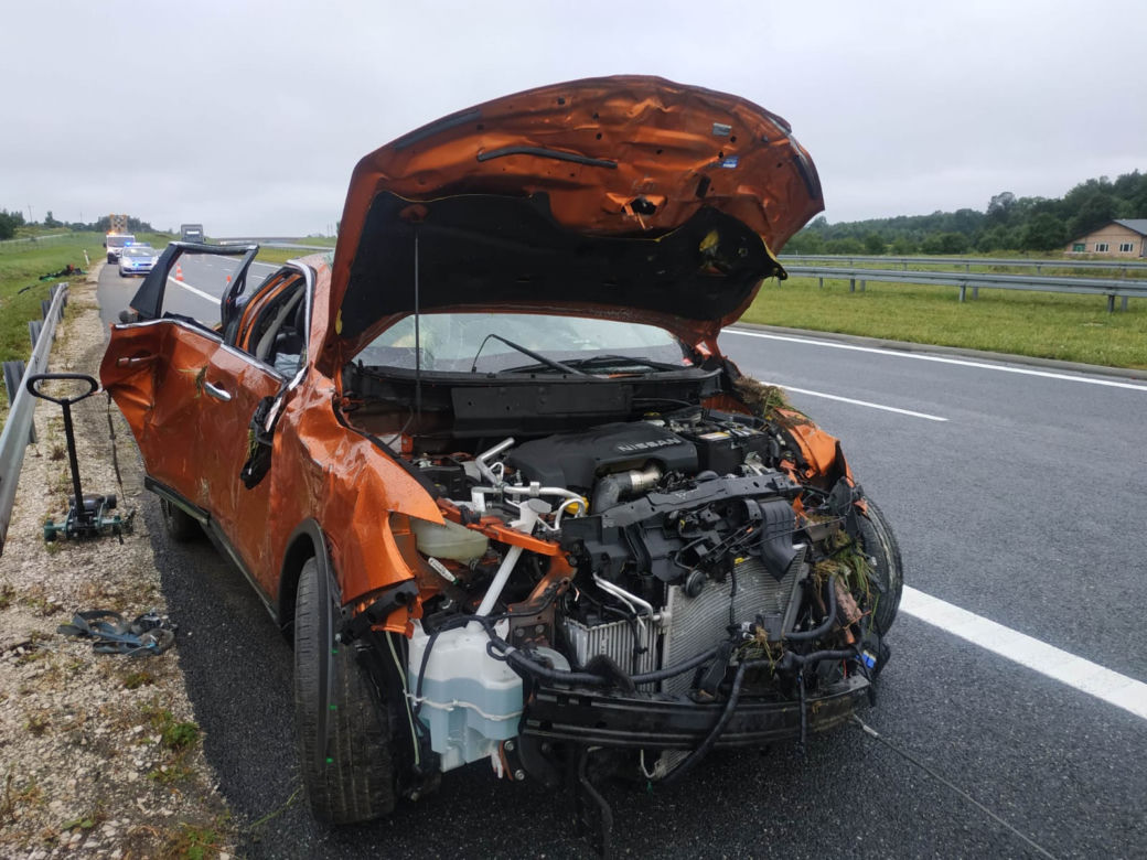 Szukają psa, który zaginął podczas wypadku na A4