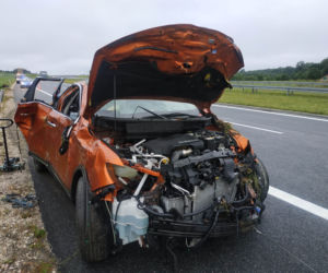 Szukają psa, który zaginął podczas wypadku na A4