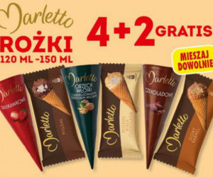  Promocje w Biedronce od 16.08