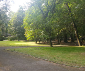 Park Zamkowy i Promenada w Mysłowicach