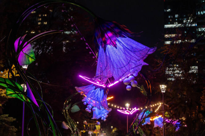 Park Świętokrzyski niczym Tajemniczy Ogród – już jutro premiera całorocznej iluminacji - ZDM Warszawa