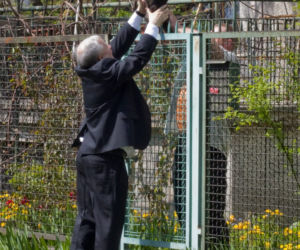 Kaczyński u Vegi czy Andrzej Grabowski z kotem