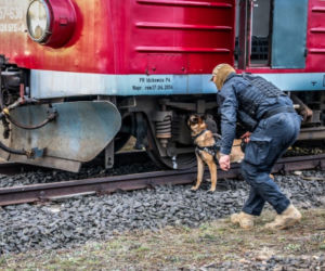 W rejonie Olechowa odbyły się ćwiczenia pod kryptonimem Pociąg