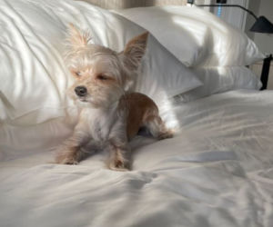 Hailey Bieber na Instagramie