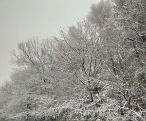 Pierwszy śnieg w regionie tarnowskim