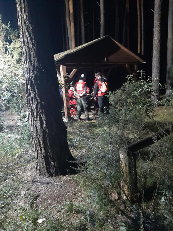 Zaginęła Grażyna Ciesielska, która wyszła na grzyby w Samociążku. Trwają poszukiwania kobiety