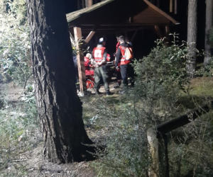 Zaginęła Grażyna Ciesielska, która wyszła na grzyby w Samociążku. Trwają poszukiwania kobiety