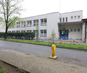 Nożownik