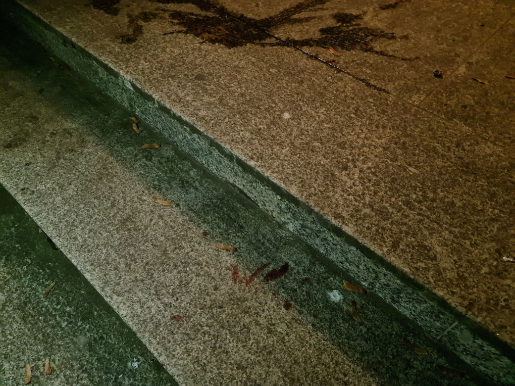 Wyrzucił psa z okna na trzecim piętrze!