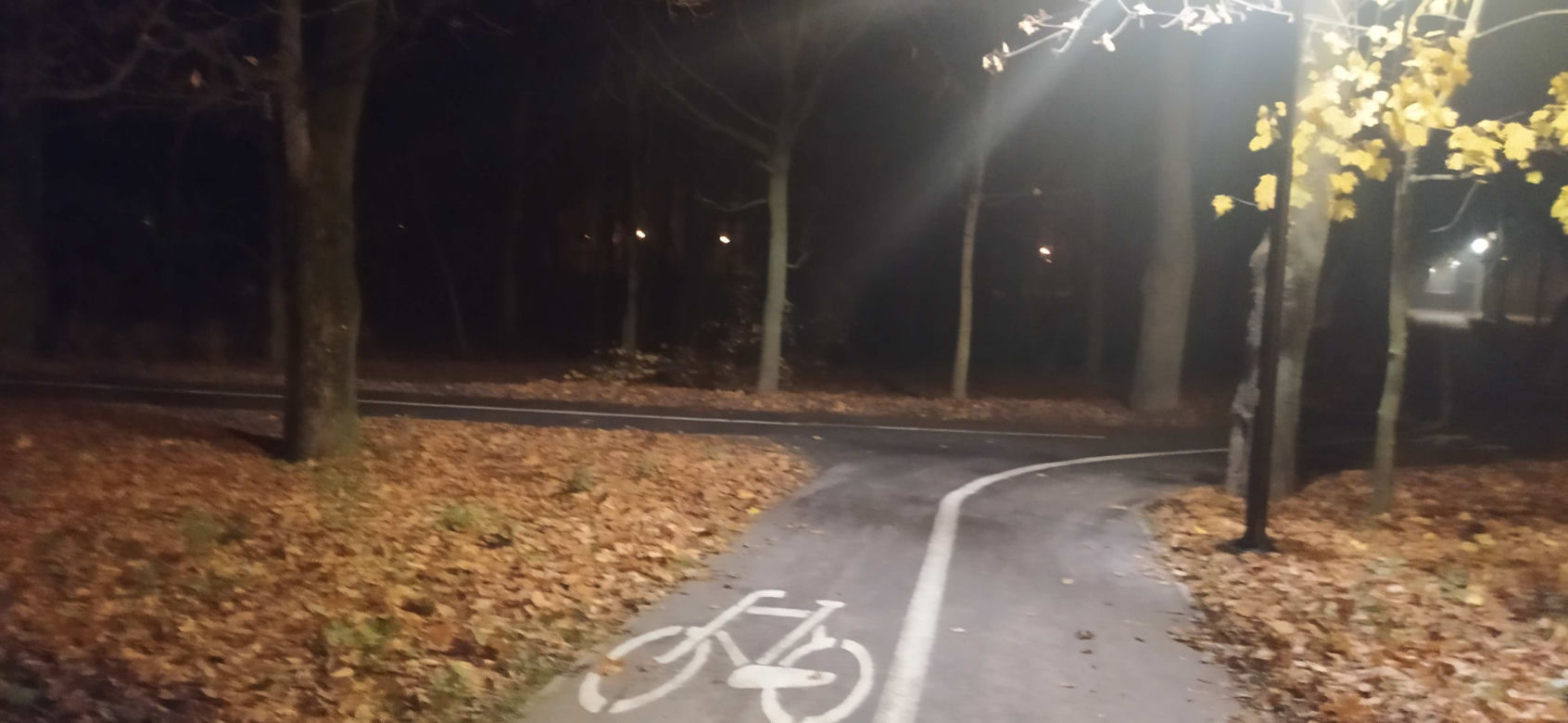 Zabójstwo księdza w parku w Siedlcach [ZDJĘCIA]