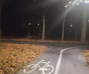 Zabójstwo księdza w parku w Siedlcach [ZDJĘCIA]