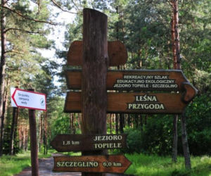 Rekreacyjny szlak edukacyjno-ekologiczny Leśna Przygoda