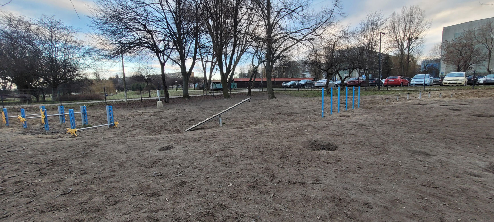 Psi park w Parku Podolskim w Łodzi