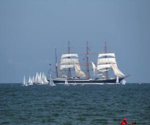 Zdjęcie 5917