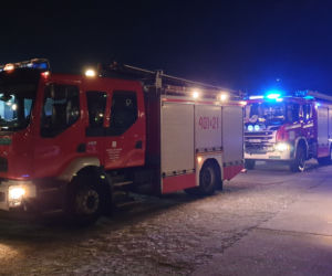 Bełchatów. Interwencja służb w jednym z klubów