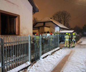 Pożar domu w Mińsku Mazowieckim, strażacy uratowali kota
