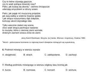 Sprawdzian_szostoklasisty_2014_ARKUSZE (4)-4