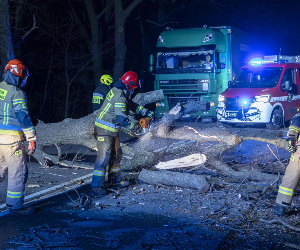 Wichury ponownie uderzą na Dolnym Śląsku. Wszystko przez niż Eunice [ALERT POGODOWY 18/19.02.2022]