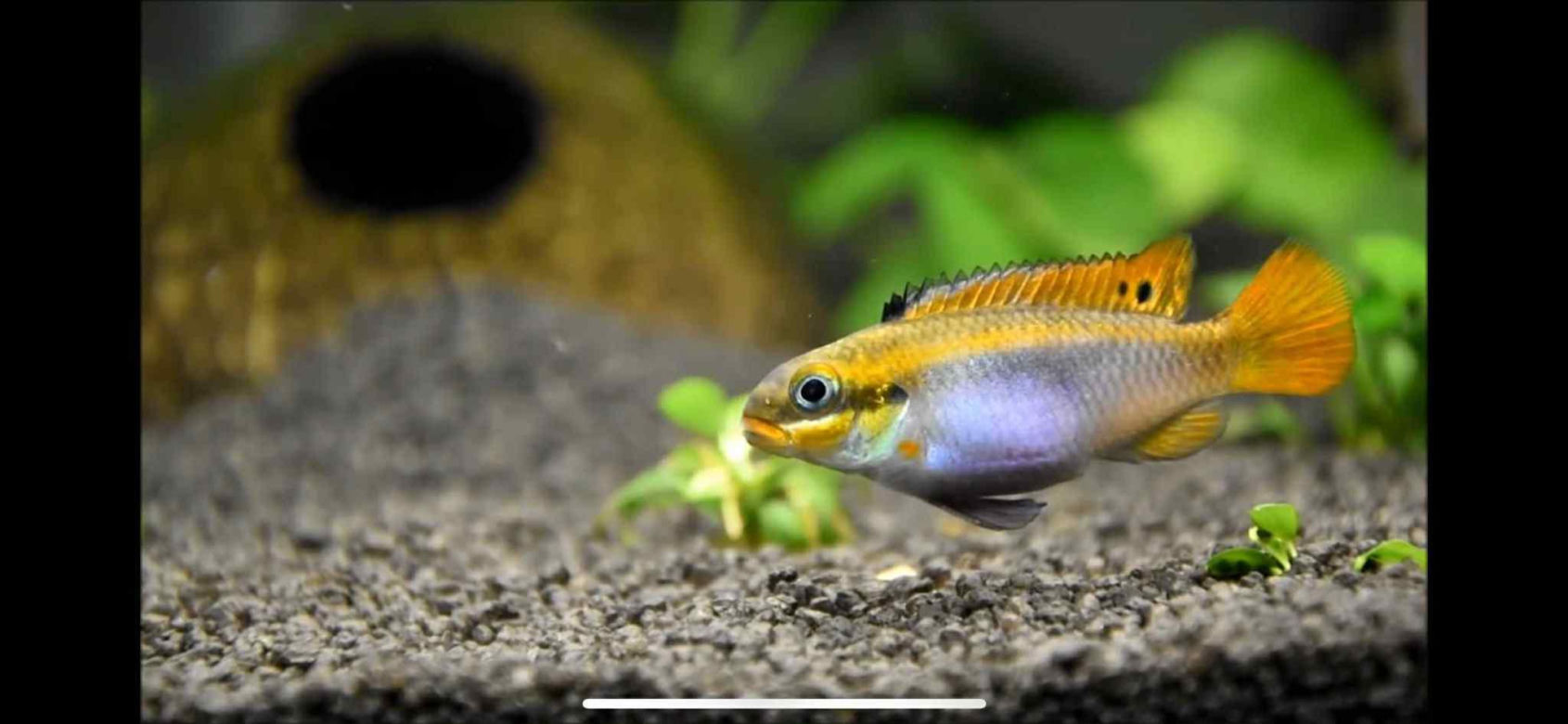 Rozmawiamy z Tomaszem Wiśniewskim, założycielem Aqua Dreams Bydgoszcz
