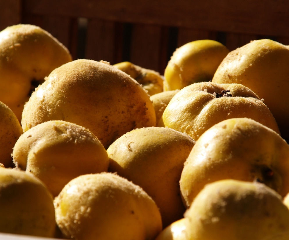 Polskie odpowiedniki superfood, czyli modnego zdrowego jedzenia: jakie?