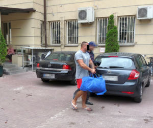 Policja ujawniła 3 miejsca uprawy konopii