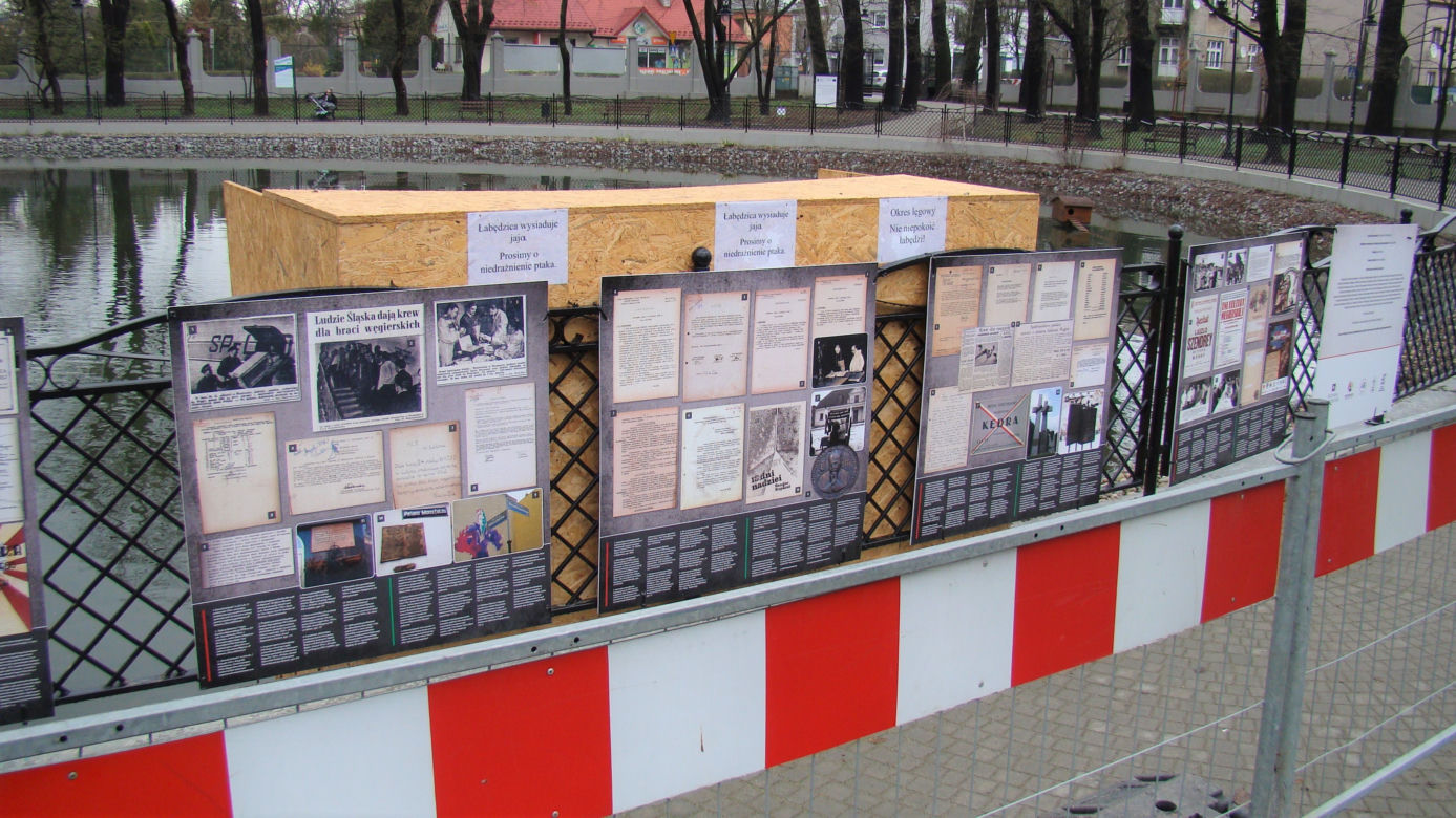 Łabędzica wysiaduje cztery jaja! Uroczy widok w Parku Strzeleckim. Mamy zdjęcia!