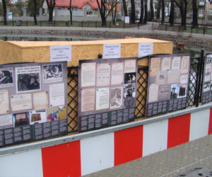 Łabędzica wysiaduje cztery jaja! Uroczy widok w Parku Strzeleckim. Mamy zdjęcia!