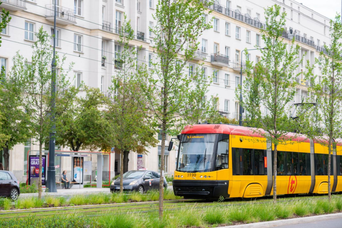 „Ale się wyciągnęła!”. Sprawdzamy, jak wygląda zasadzona w zeszłym roku miejska zieleń - ZDM Warszawa