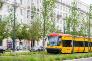 „Ale się wyciągnęła!”. Sprawdzamy, jak wygląda zasadzona w zeszłym roku miejska zieleń - ZDM Warszawa