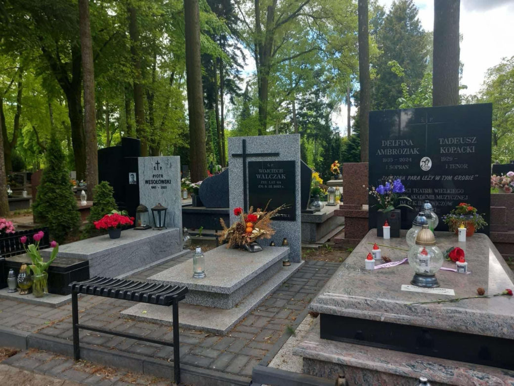Aleja Zasłużonych Doły