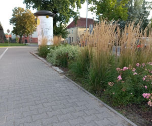 Nowy ciąg pieszo-rowerowy i zieleń w nietypowym miejscu. Takie zmiany czekają ulicę Dąbrowskiego w Lesznie