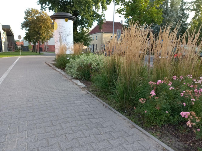 Nowy ciąg pieszo-rowerowy i zieleń w nietypowym miejscu. Takie zmiany czekają ulicę Dąbrowskiego w Lesznie