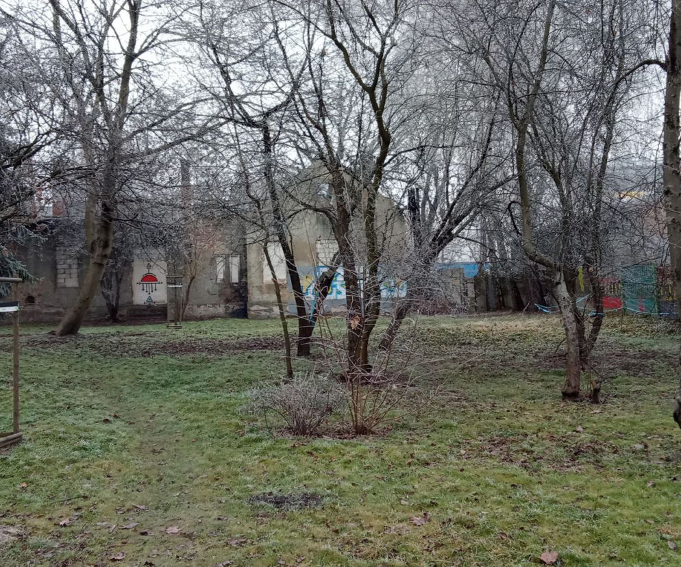 Park przy ul. Dekerta