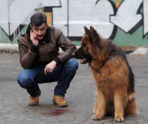 Komisarz Alex 7 sezon odc. 83 (odc. 5). Michał Orlicz (Antoni Pawlicki)