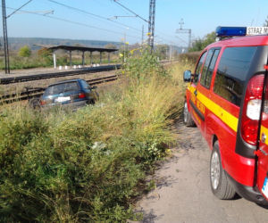 Człowiek guma, półnaga kobieta, wędkarz naturysta -czyli nietypowe interwencje Starży Miejskiej Starachowice
