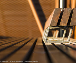 Most Europejski na Odrze w Siekierkach