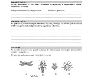 Matura 2019 z biologii [ARKUSZE CKE, ODPOWIEDZI]