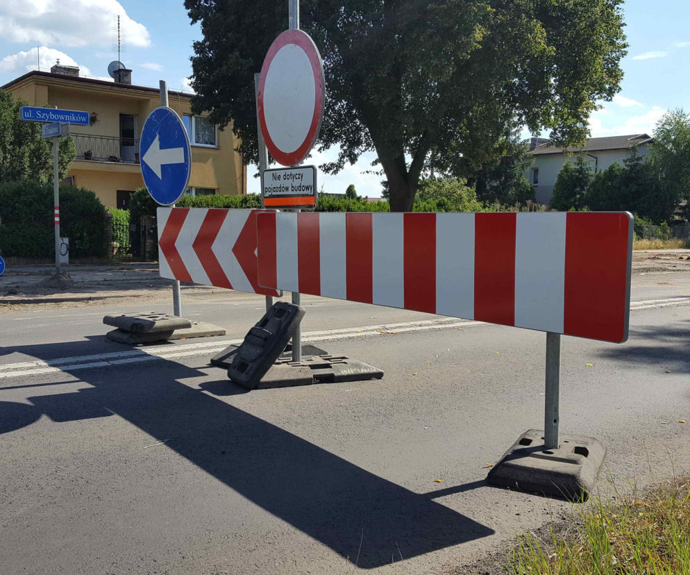 Były starsze od niejednego mieszkańca Leszna.  Z ul. Szybowników znikają dorodne lipy