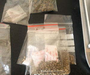 Akcja policji na ul. Grunwaldzkiej w Bydgoszczy! Zatrzymany 32-latek