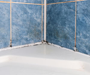 Działa niczym wyżeracz pleśni z fug łazienkowych. Wybieli spoiny i je odgrzybi