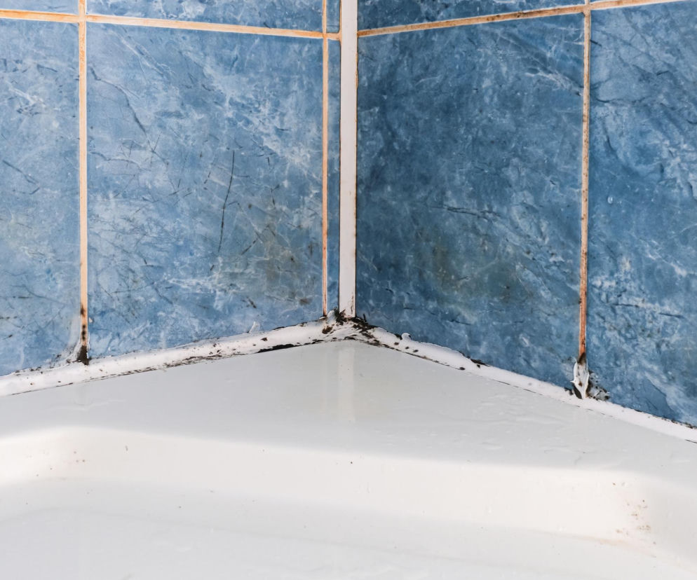 Działa niczym wyżeracz pleśni z fug łazienkowych. Wybieli spoiny i je odgrzybi