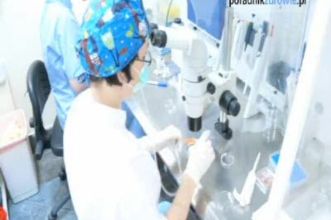 Jak przebiega in vitro?