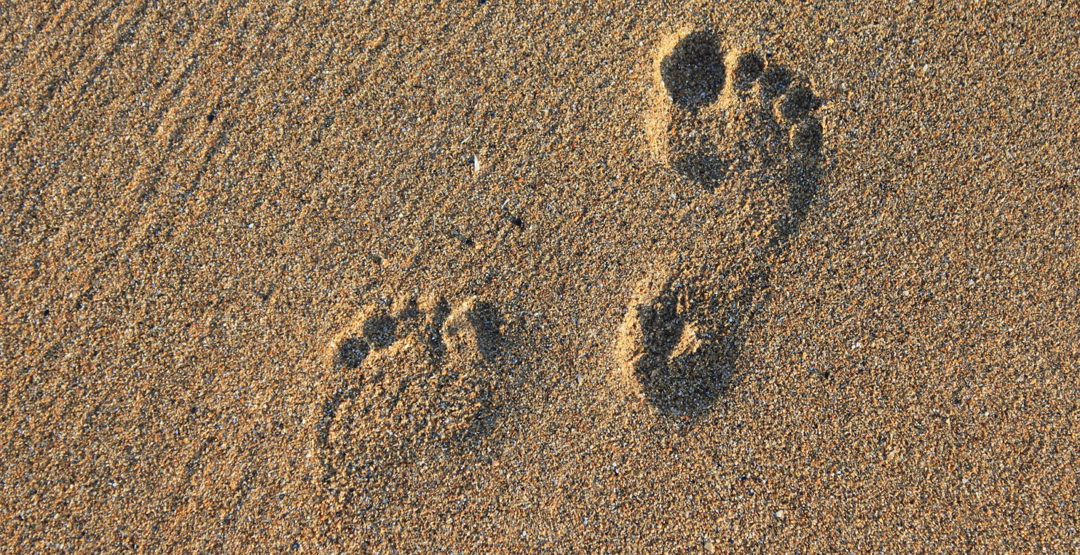 Ośrodek Rekreacyjno – Wypoczynkowy Plaża Ostrów