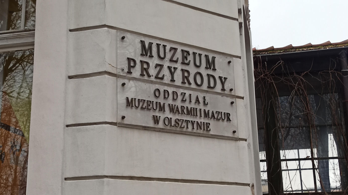 Muzeum Przyrody w Olsztynie. Poznajcie faunę oraz florę Warmii i Mazur